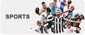 q36 website image 172 showing sports 14 11zon